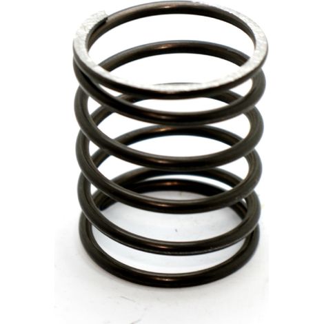 Accessorio molla di ricambio per testina decespugliatore (1/3)