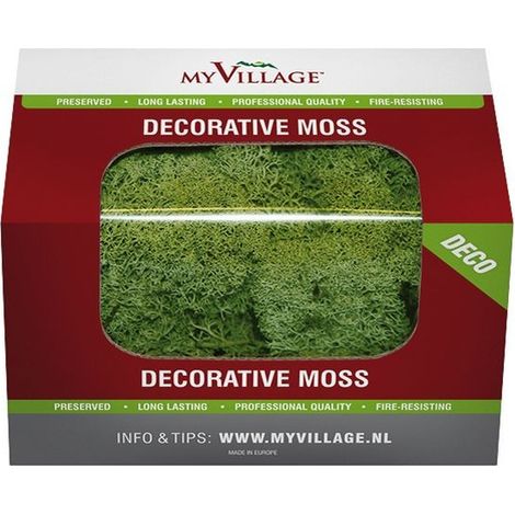 Lichen Vert Mousse 50 gr