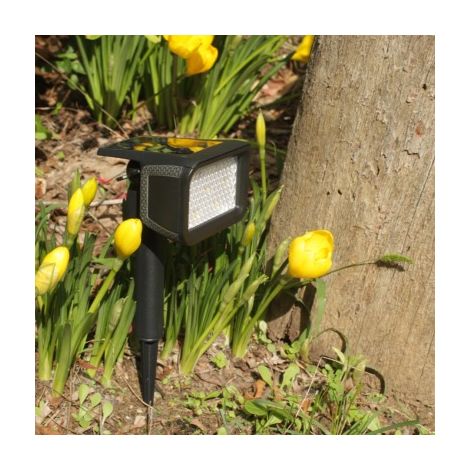 Spot solaire Cubik 100 lumens
