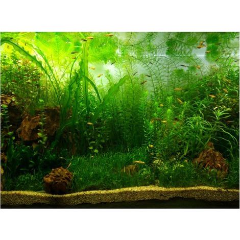 Aquarium-Hintergrundposter im Wassergras-Stil, PVC-Klebepapier (7630 cm) (1/5)