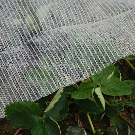 Rete Anti Gelo e Anti Cimice Anti strappo Permeabile Protegge colture piante orto da gelo e insetti, m 4x10 (1/5)