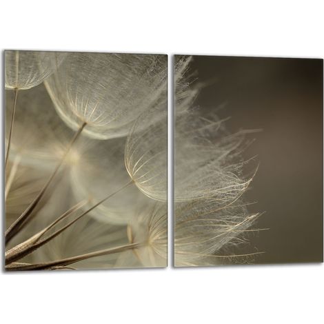 Plaque de protection en verre pour poêle 2x40x52 Fleur (1/5)