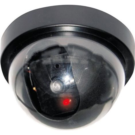 Camera Interieure Factice Dome Led Dummy - Ceezam