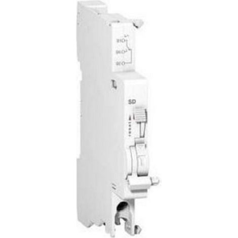 LOT de 2 SD pour DT40 SCHNEIDER A9N26927