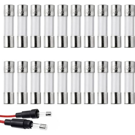 20 Pièces F10AL250V 5x20 mm 10A 250V Fusibles à Fusion Rapide, Fusibles en Tube de Verre pour Protection de Circuit Électrique, Standard pour Appareils Électriques, 0.2 x 0.78 Pouce (1/5)