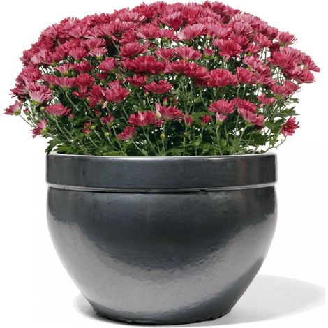Kyros graphit glasiert 28cm Steingut glasiert