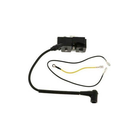 S-giant Bobine d'Allumage Haute Tension Compatible avec 340, 345, 346, 350, 351, 353, 357 (1/5)