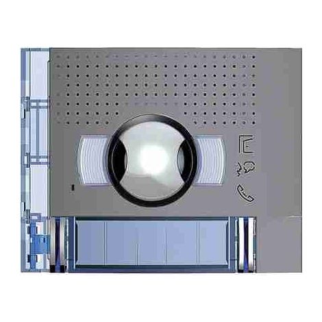 BTI351323 Weitwinkel-A/V-Frontplatte mit 2 Tasten