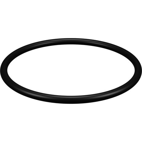 Joint compatible pour carter porte filtre Junior - Senior - Pallas II et duo (1/3)