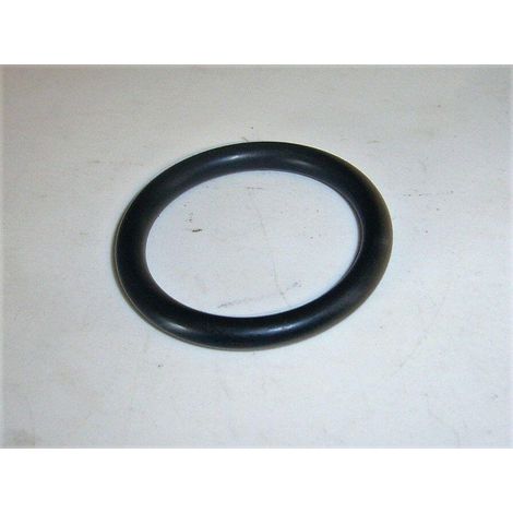 ORING VALVOLE POMPA ACQUA RAMATA POMPA IRRIGAZIONE ANNOVI REVERBERI 320030 (1/2)