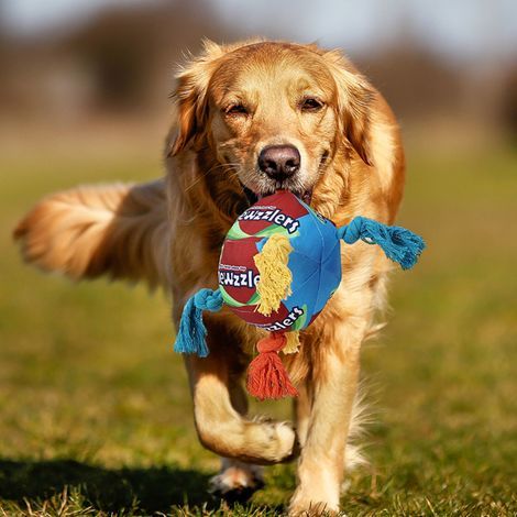 pallina morbida da masticare per cani, giocattolo da masticare, puzzle alimentare, giocattolo multifunzionale per l'addestramento. (1/4)