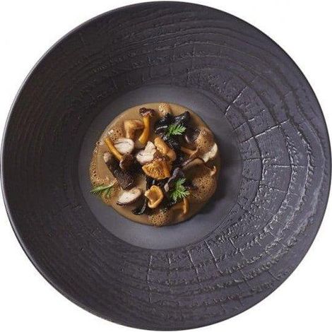 Piatto fondo Revol ARBORESCENCE nero 24 cm (1/3)