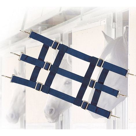 Cancelletto per box in nylon con cinghie 5 cm blu