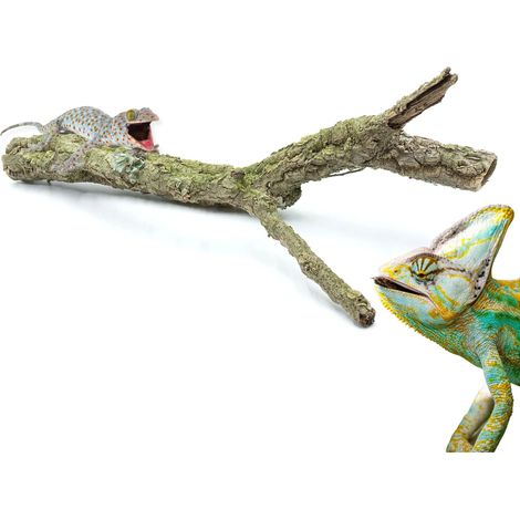 Rama de alcornoque BioBranch de 50 cm, recta o ramificada