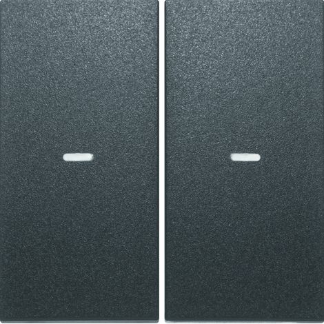 Plaque de finition Berker s1/bx 2 gang finition mate anthracite