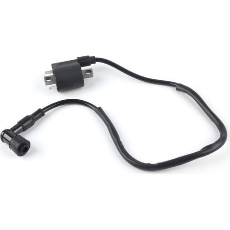 2-polige Motorradzündspule für CBF125, CBR125, CR125, CR250 (1/4)