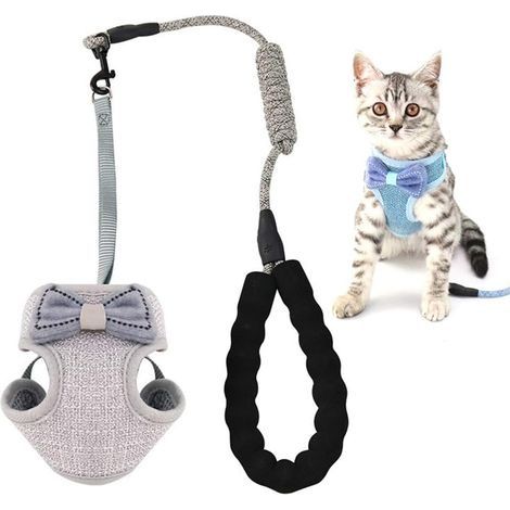 Bande de gilet ajustable pour chatons doux (gris)