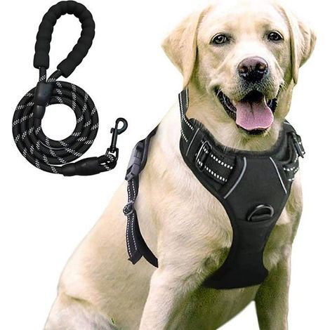 Harnais Chien - Arnet - Taille L - Anti Traction - Réfléchissant - Noir