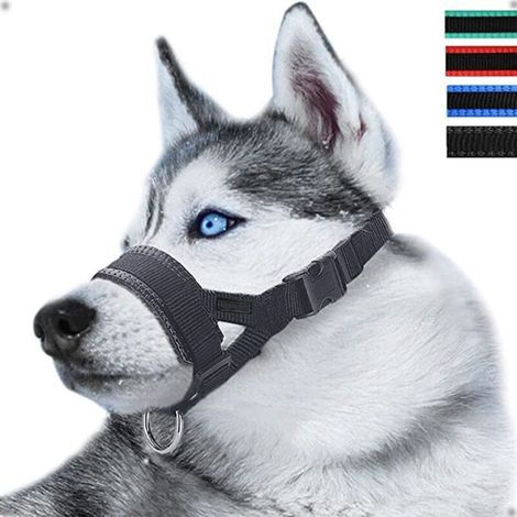 Muselière en nylon réglable pour chiens – Anti-aboiement et anti-morsure – Confortable et sécurisée – Différentes tailles disponibles (1/5)