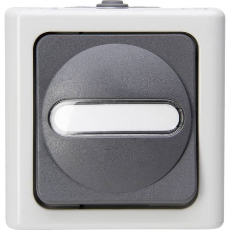 Kopp 561456001 Interrupteur gris et blanc IP44 (1/2)