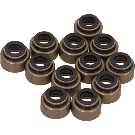 KIT DE JOINTS DE QUEUE DE SOUPAPE VICTOR REINZ FORD RANGER 2.5 D 02-06