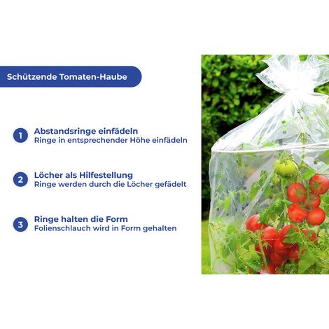 Tomaten-Haube 2er (1/5)