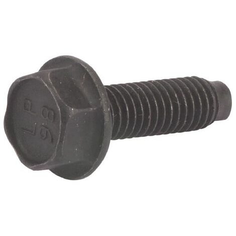 Vite BRIGGS ET STRATTON 794451
