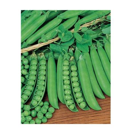POIS EXPRESS LONGUE COSSE GENEREUX - 150 G