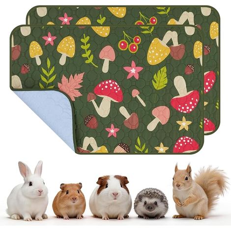 Pipi Pads pour cochons d'Inde, lapins (1/5)