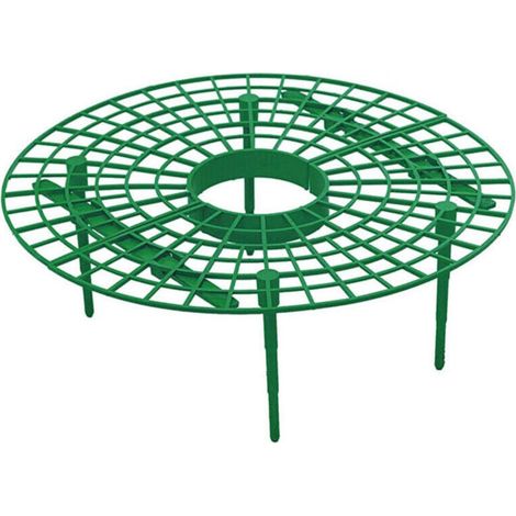 Lot de 15 supports pour plantes de fraises - évite la pourriture - Outil de culture de fraises (1/5)