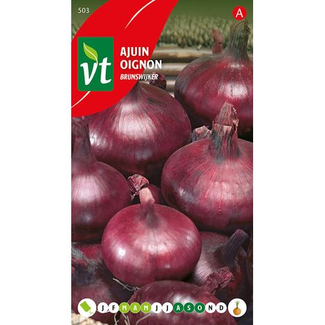 Oignon Brunswijker - Ca. 4 gr (Livraison Gratuite)