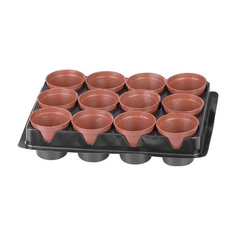 Mini-Gewächshaus Strend Pro, 12 Stk., Set, 24x18x6 cm