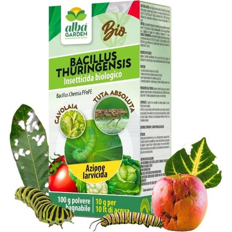 Bacillus Thuringensis Contro Insetti, Prodotto Naturale Biologico per Piante Contro Parassiti Insetti Larve di Orto e Giardino Polvere x 100 g (2 x 50g)