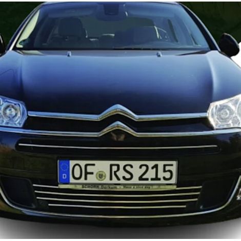 Citroen C5 III - strisce cromate per la griglia (1/5)