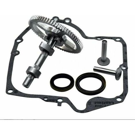 Convient pour Briggs & Stratton 793880 793583 792681 791942 795102 kit de remplacement de came avec joint d'huile 795387 et joint (1/4)