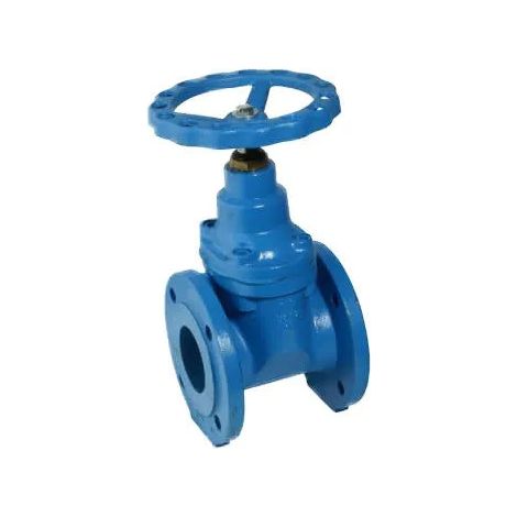 Saracinesca Ghisa Pn16 Dn 50 Corpo Piatto