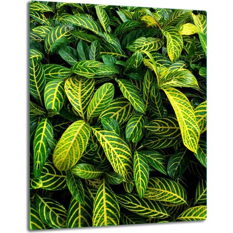 TABLERO DE MESA DE PANEL DE CRISTAL 40x52 VERDE (1/5)