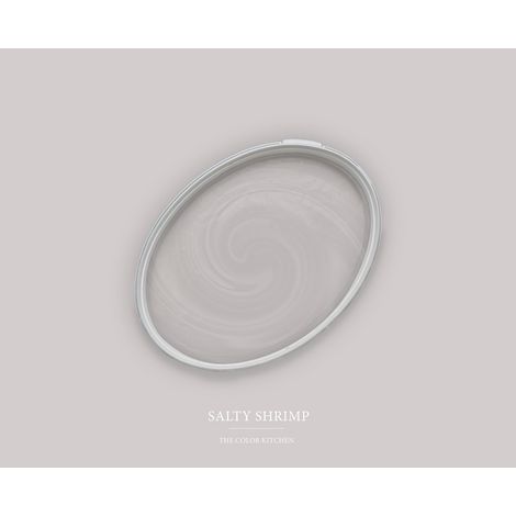 Peinture gris argent mat moderne et résistante Peinture facile à appliquer Peinture The Color Kitchen TCK2001 2,5L (1/4)