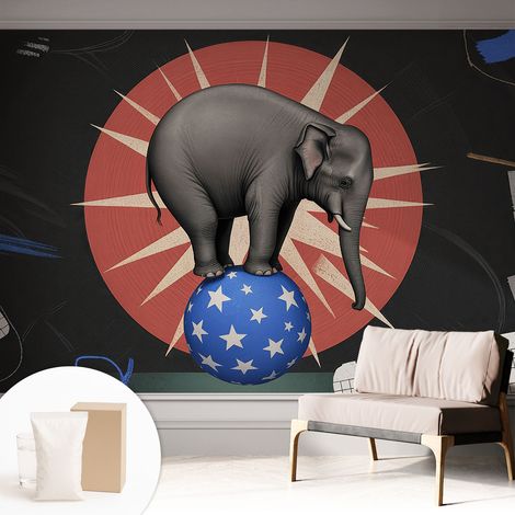 Carta Da Parati Non Tessuto - Con Colla Inclusa per Camera da Letto - Facile da Applica - Motivo decorativo elefante da circo 312x219 cm (1/5)