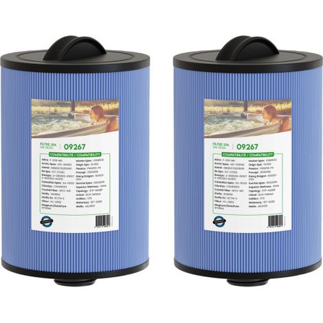 Filtre spa (60401 / 6CH-940 / 6TH-940 / PWW50P) - BlueWater Filtration - Lot de 2 (1/2)