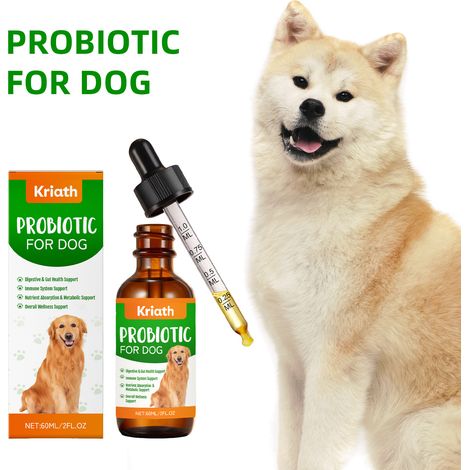 Gouttes probiotiques pour chiens - Soin intestinal doux, nourrissant et protecteur, nutriments facilement absorbés - 60 ml (1/5)