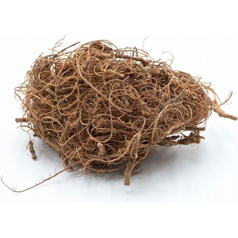 Wurzel-Dekoration Wald im Glas, Naturdekoration, 25 g (1/5)