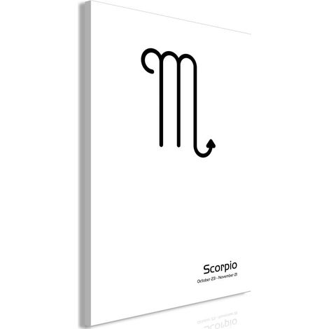 Tableau Imprimé "Scorpio" 60 x 90 cm (1/2)