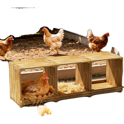 Caisse de Nidification pour Poules, Design à Trois Compartiments, Protection des Oeufs, couleur bois (1/2)