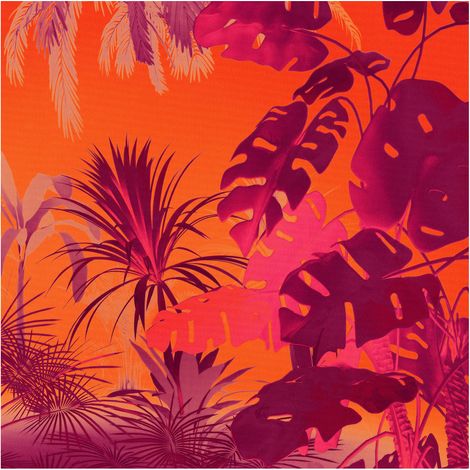 Komar Wandtapete - Funky Jungle - 250 x 250 cm - Vlies Digitaldruck - Mediterran (1/5)