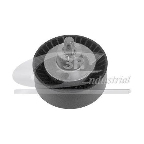 3RG 13111 RODILLO TENSOR