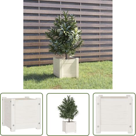 The Living Store Pflanzkübel Weiß 31x31x31 cm Massivholz Kiefer - Holzpflanze - Blumenvase - Kübeln - Gartendekoration - Kiefernholz (1/5)