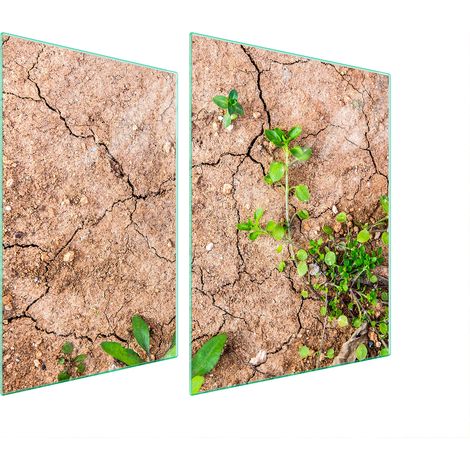 PLACA PROTECTORA DE VIDRIO PARA ESTUFA 70x52 PLANTAS (1/5)