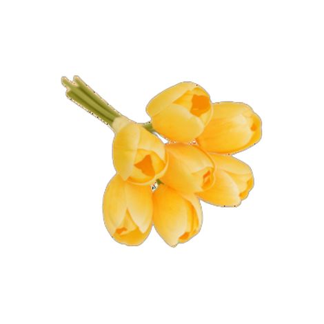 Ramo de tulipanes de 30 cm