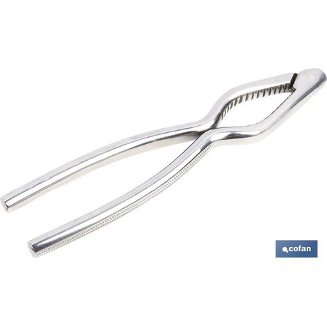 Ergonomischer Nussknacker aus chromfarbenem Edelstahl (1/4)
